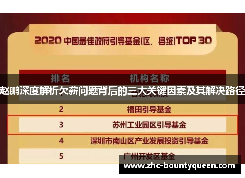 赵鹏深度解析欠薪问题背后的三大关键因素及其解决路径 赵鹏深度解析欠薪问题背后的三大关键因素及其解决路径