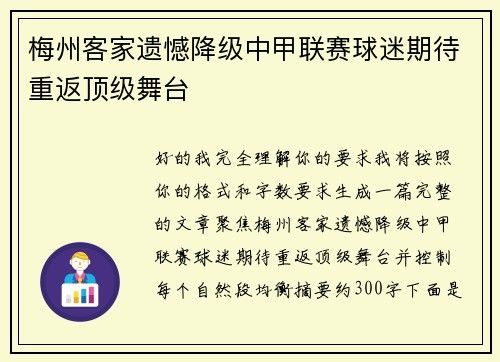 梅州客家遗憾降级中甲联赛球迷期待重返顶级舞台 梅州客家遗憾降级中甲联赛球迷期待重返顶级舞台